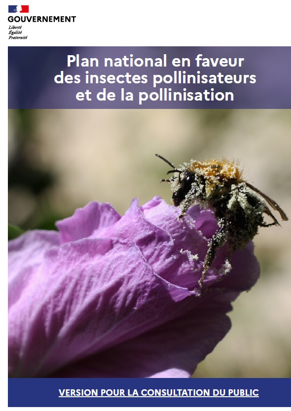 plan pollinisateur